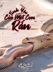 356532522_1010749089925277_907399481236327391_n