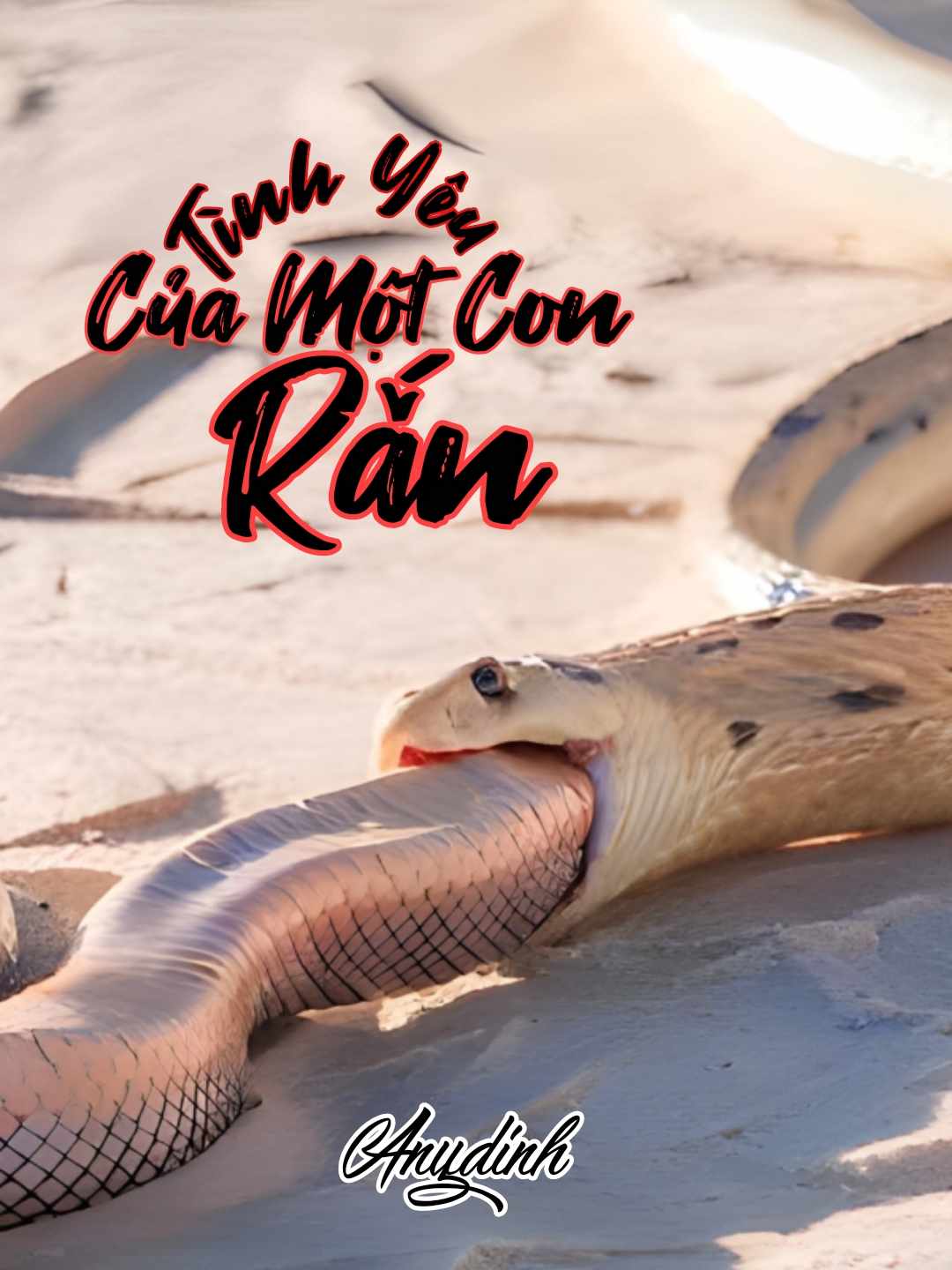 356532522_1010749089925277_907399481236327391_n